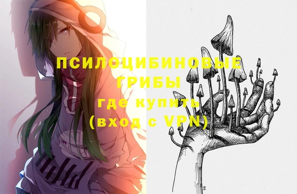 ГАЛЛЮЦИНОГЕННЫЕ ГРИБЫ Волосово