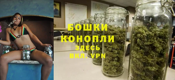 шишки Волоколамск